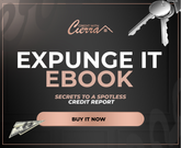 Expunge It: The Ebook