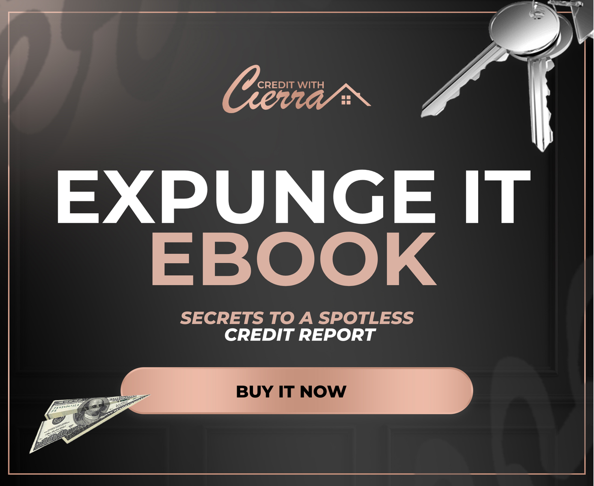 Expunge It: The Ebook